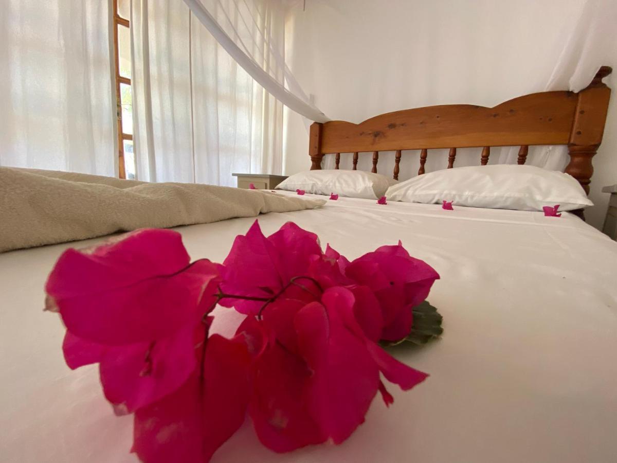 Silver Rock Hotel 3*